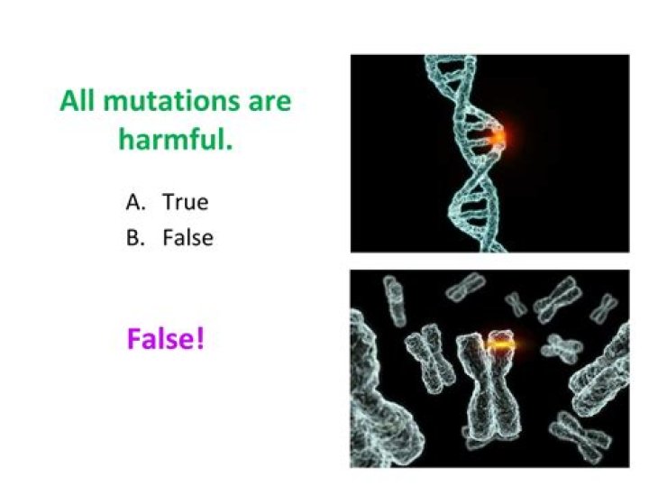 Are all mutations are harmful