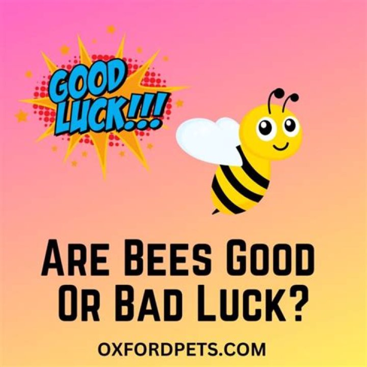 Are bees good luck or bad luck