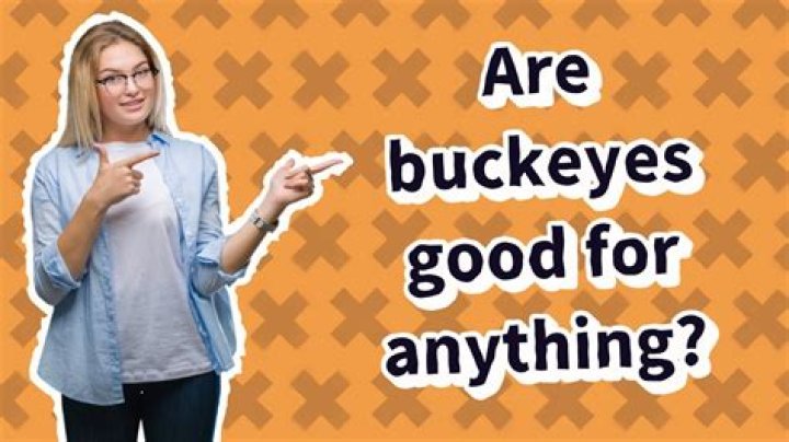 Are Buckeyes good for anything