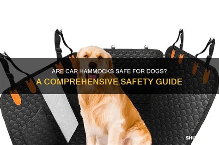 Are car hammocks safe for dogs