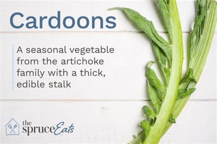 Are cardoons vegetables