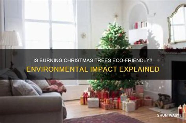 Are Christmas trees bad for lungs