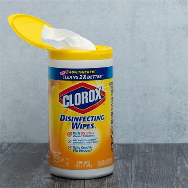 Are Clorox wipes toxic to cats