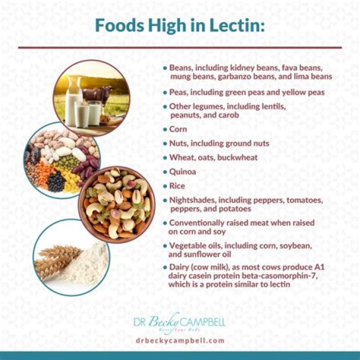 Are egg whites high in lectins