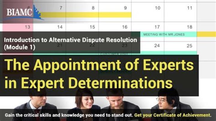Are expert determinations binding