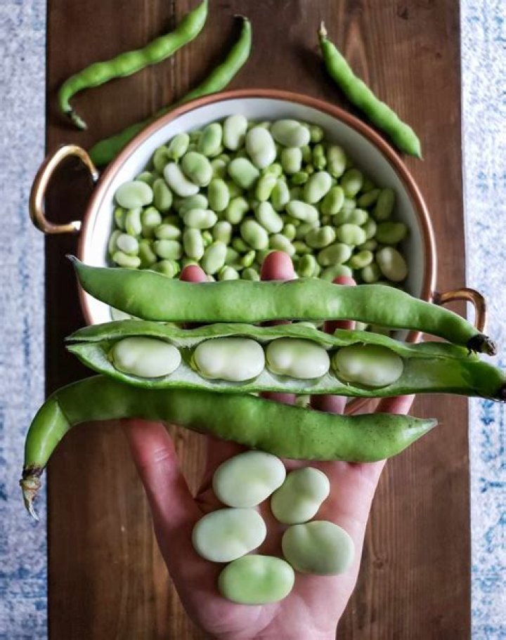 Are fava beans grown in the US