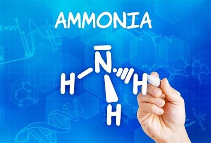 Are flies attracted to ammonia