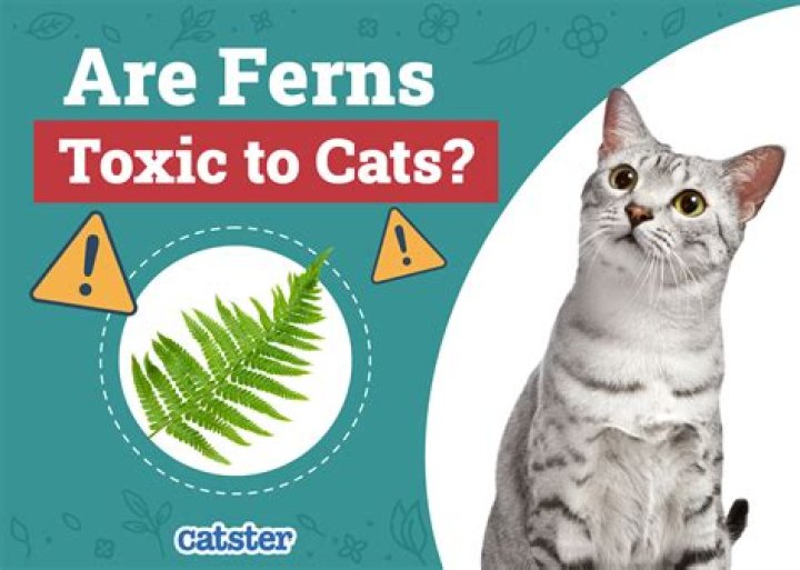 Are frosty ferns safe for cats