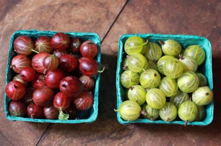 Are gooseberries Red or Green