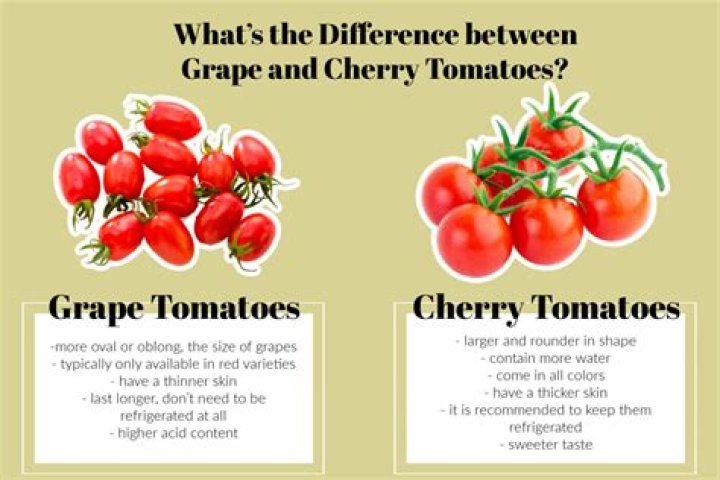 Are grapes related to tomatoes