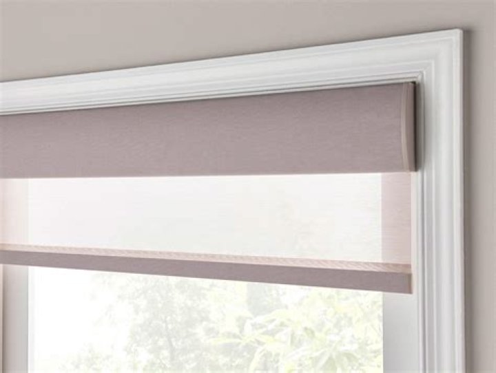 Are Lutron Serena shades worth it