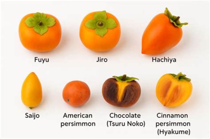 Are persimmons native to Japan