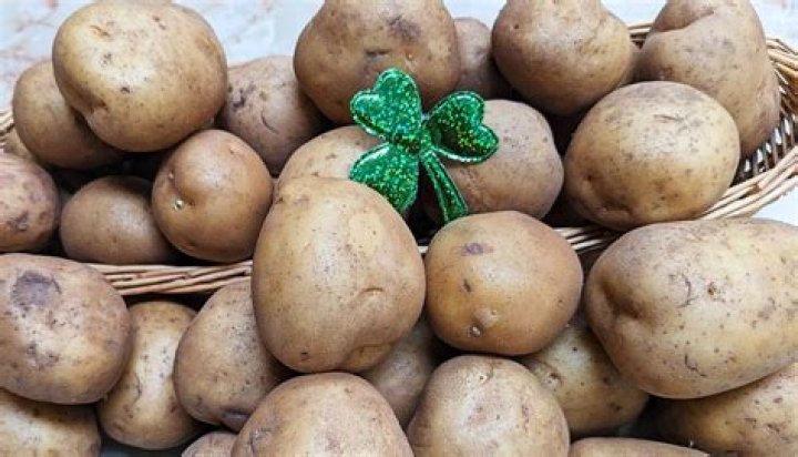 Are potatoes native to Ireland