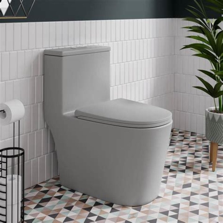 Are Swiss Madison good toilets