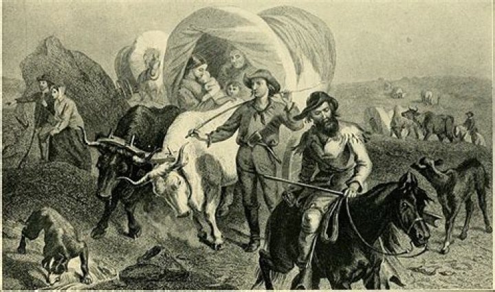 Are there still pioneers today