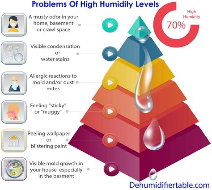 Can a humid room make you sick