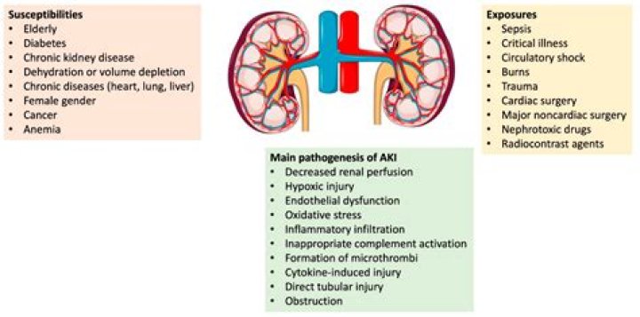 Can a ruptured kidney be repaired