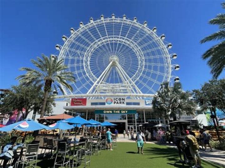 Can a tourist drive in Florida