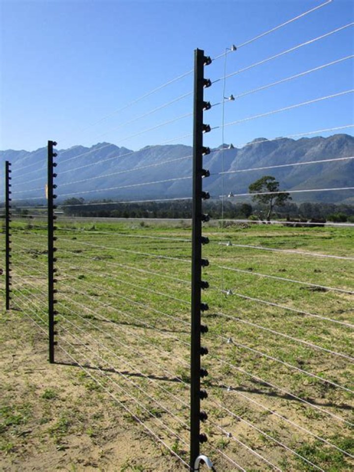 Can an electric fence touch trees