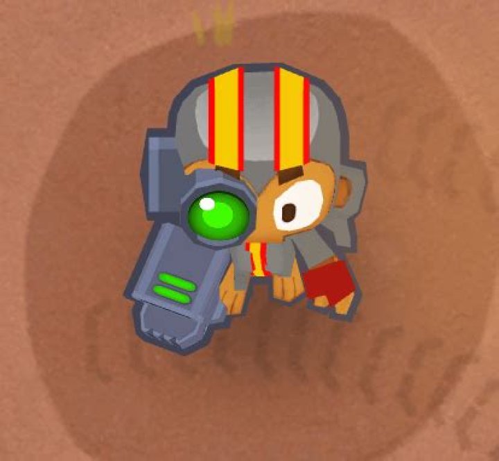 Can Boomerang monkeys see camo