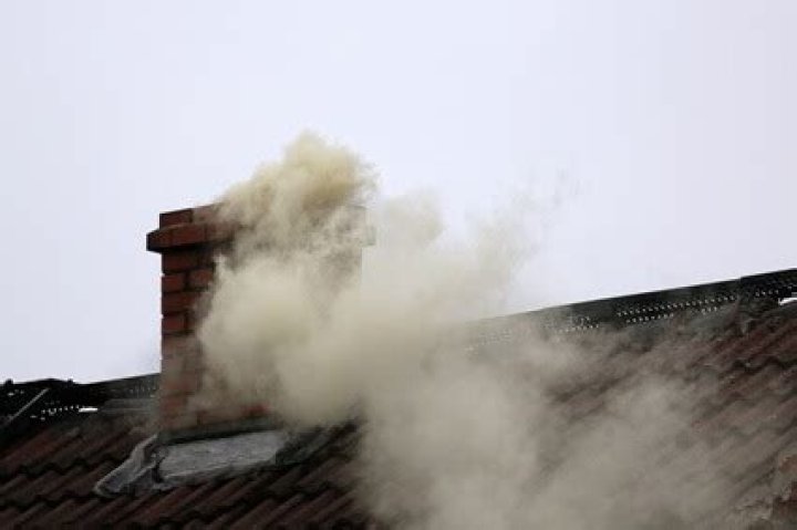 Can carbon monoxide kill birds