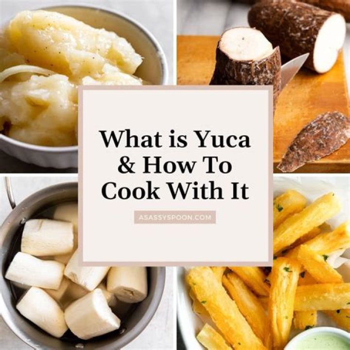 Can dogs eat cooked yucca root