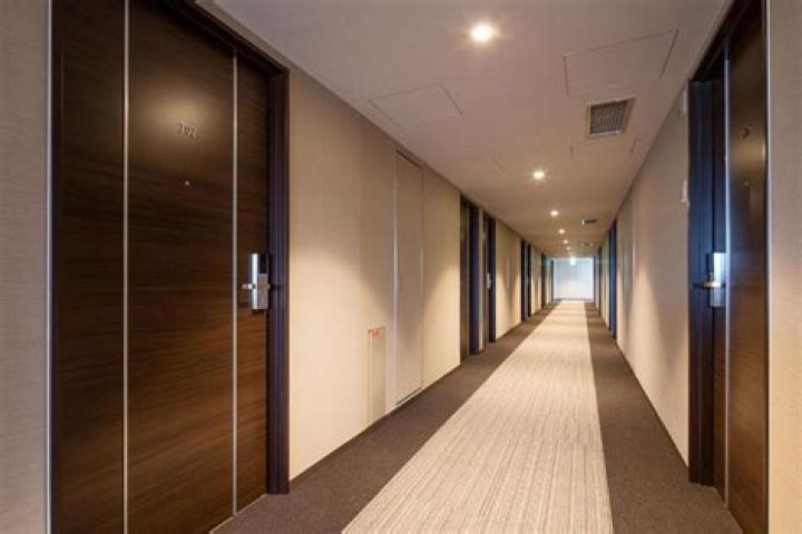 Can fire doors be made of wood