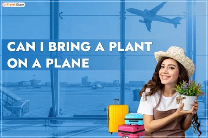 Can I bring a plant on a plane