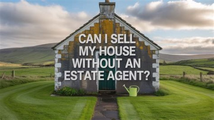 Can I sell house without agent