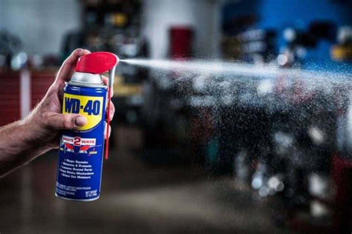 Can I spray WD40 on my starter