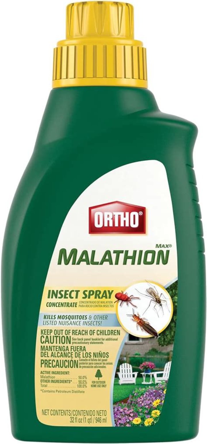 Can I use malathion on my lawn