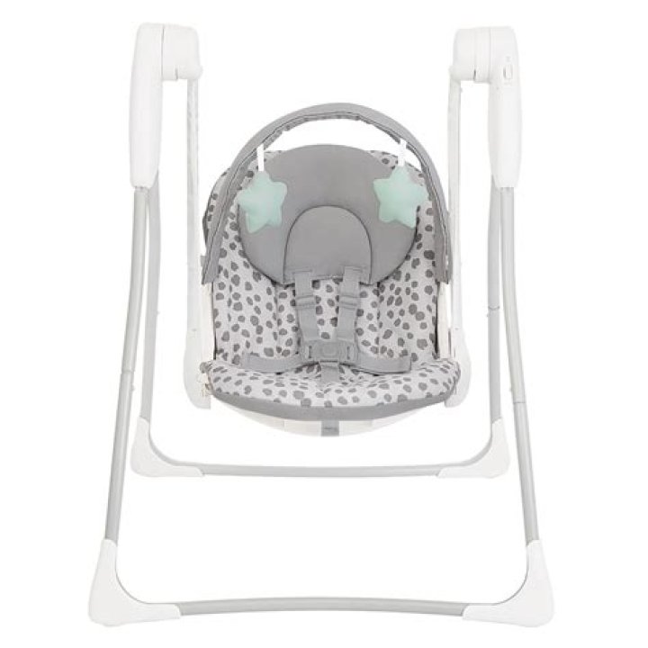 Can newborn go in Graco swing