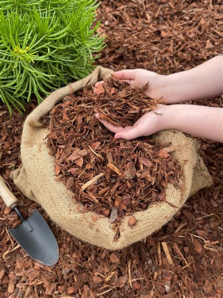 Can pine bark be used as mulch