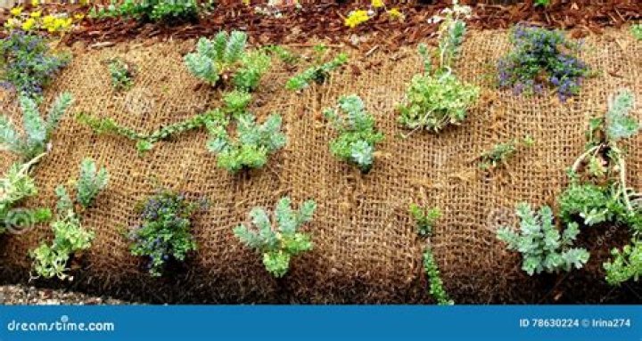 Can plants grow through fabric