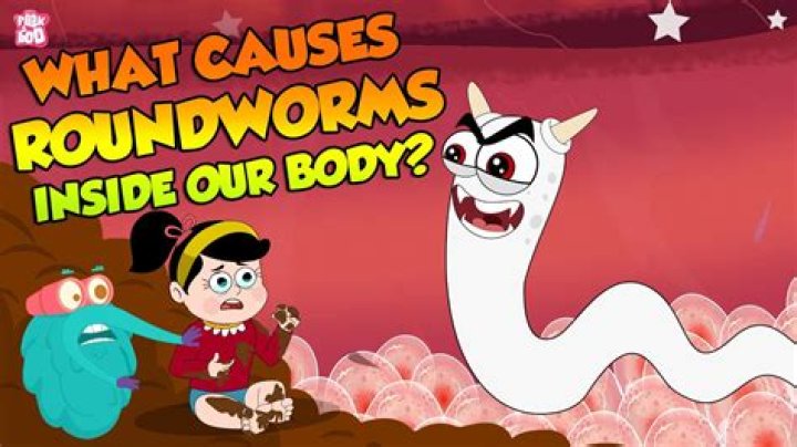 Can roundworms cause blindness