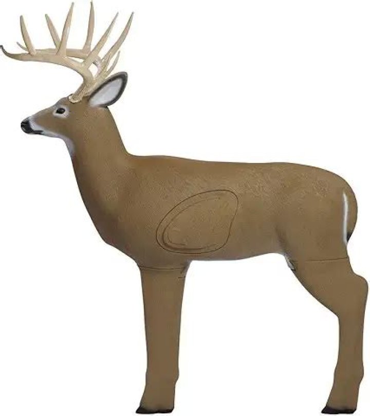 Can you bow hunt in California