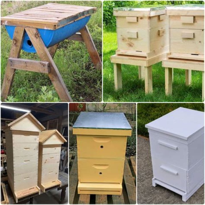 Can you build your own beehive