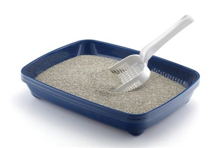 Can you burn used kitty litter