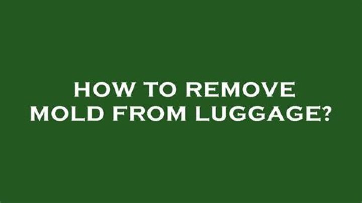 Can you clean mold off luggage