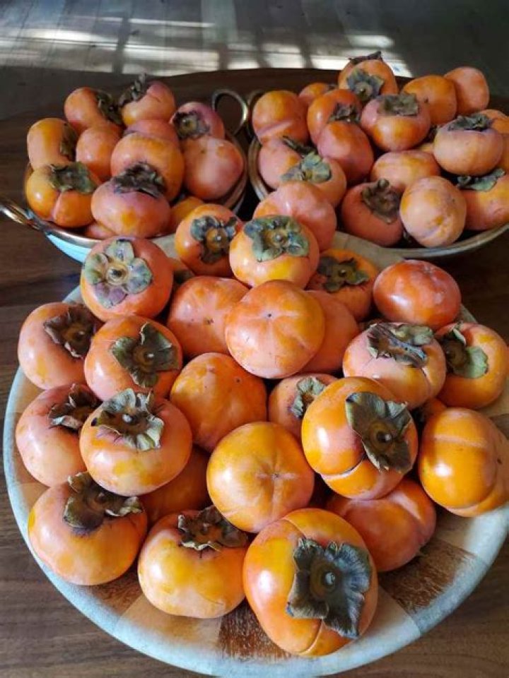 Can you cook unripe persimmons