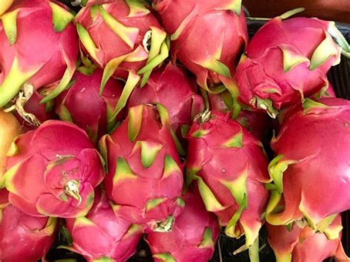 Can you cook with dragon fruit