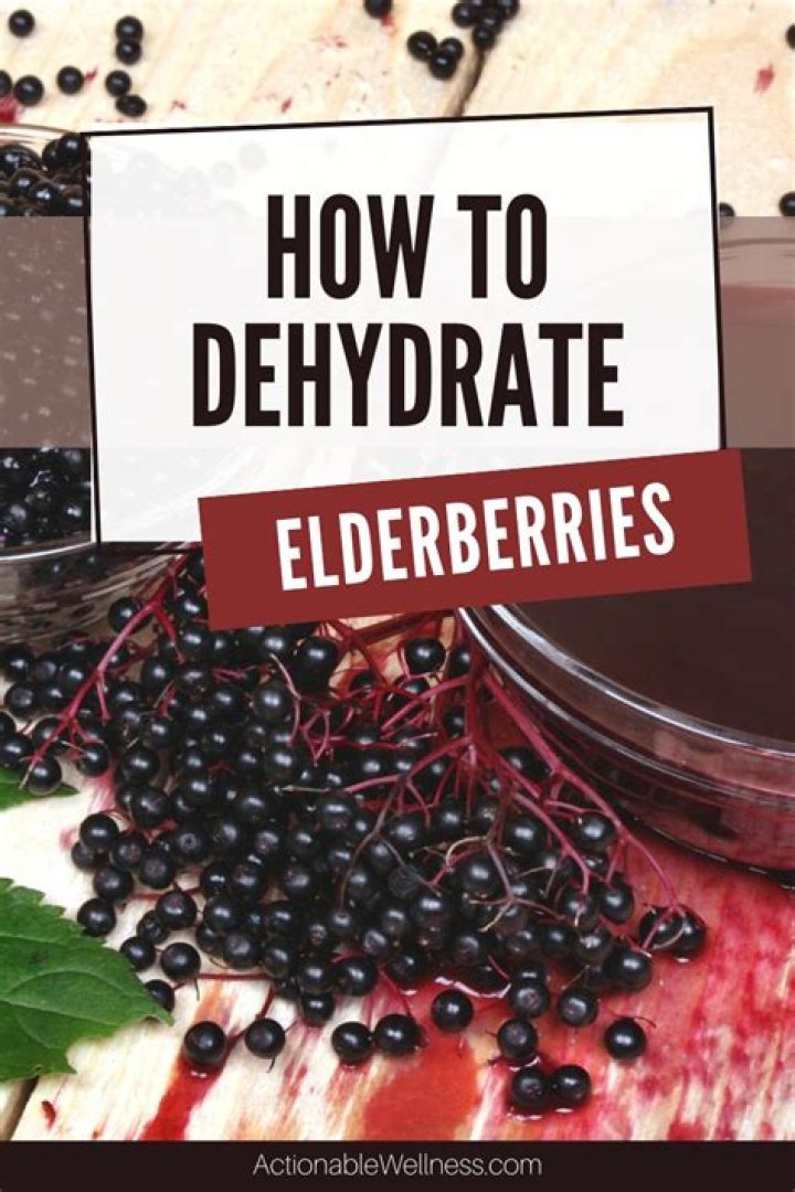 Can you dehydrate elderberries