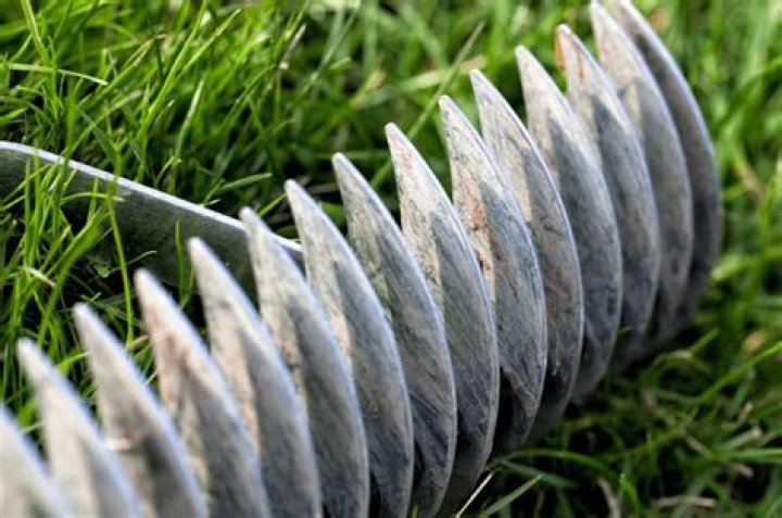Can you Dethatch buffalo grass