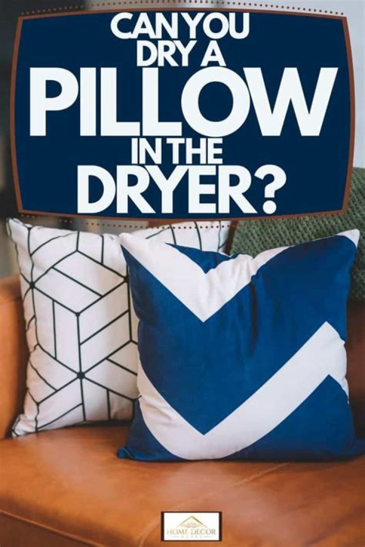 Can you dry a pillow in the dryer