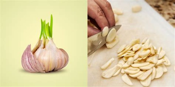 Can you eat green elephant garlic
