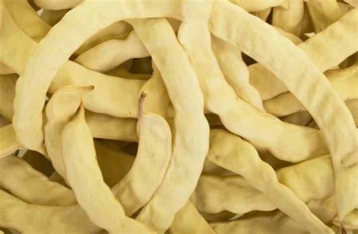 Can you eat the mesquite pods