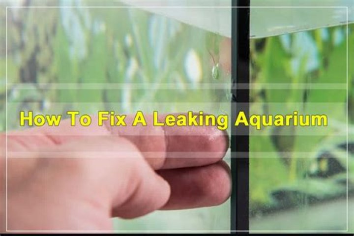 Can you fix a leaking aquarium