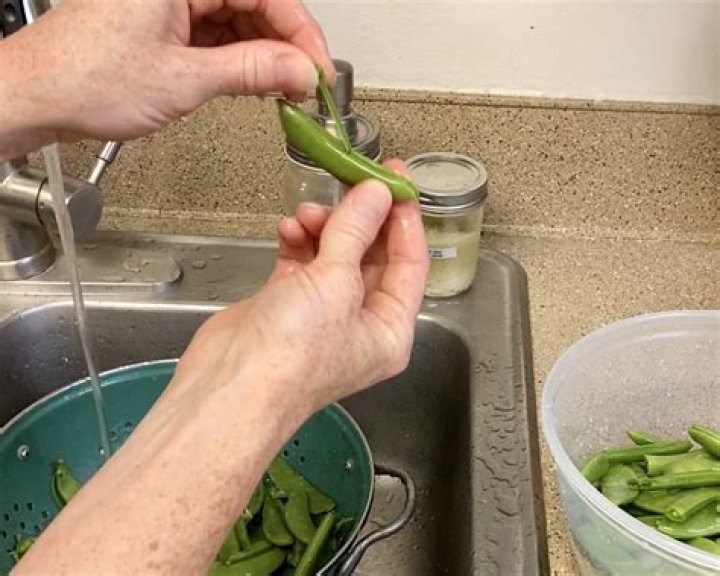 Can you freeze edible pod peas