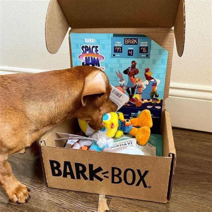 Can you get a one time BarkBox