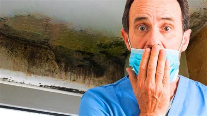Can you get sick from moldy walls